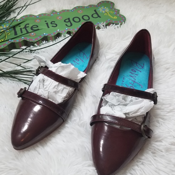 Blowfish flat - Picture 2 of 5